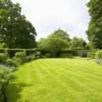 Elevate Your Landscape: Unmatched Lawn Maintenance, Palm Tree Trimming, Fertilizing, and Landscape Lighting Services 3 Elevate Your Landscape: Unmatched Lawn Maintenance, Palm Tree Trimming, Fertilizing, and Landscape Lighting Services