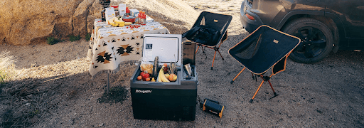 Top Picks for Electric Coolers: Discover the Best 12 Volt Cooler for Camping, Road Trips & Outdoor Fun