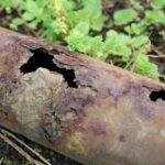 What to Do When You Have a Burst Pipe in Your Home