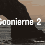 Goonierne 2