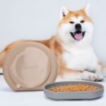 Silicone Slow Feeder: The Ultimate Mealtime Solution for Pets
