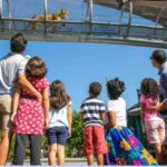 Best Family Friendly Things to See in Warwickshire This Year 3 Best Family Friendly Things to See in Warwickshire This Year