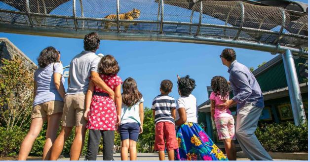 Best Family Friendly Things to See in Warwickshire This Year