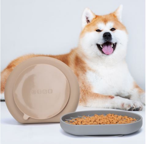 Silicone Slow Feeder: The Ultimate Mealtime Solution for Pets 1 Silicone Slow Feeder: The Ultimate Mealtime Solution for Pets