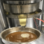 Choosing the Right Oil Extraction Technology: A Guide to Hydraulic, Cold, and Hot Press Machines