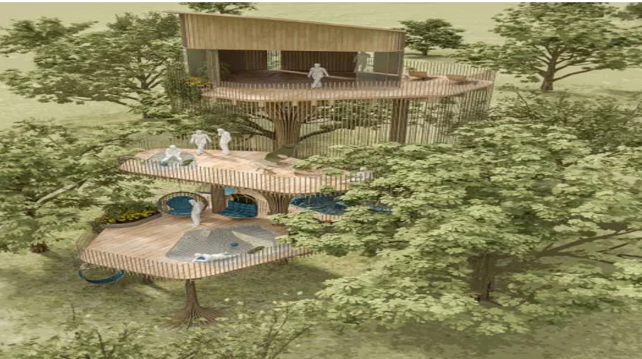 Building a Multi-Level Deck: Pros, Cons, and Inspiration