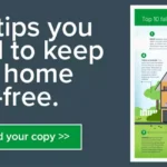 Fall Pest Prevention: Tips to Keep Rodents Out