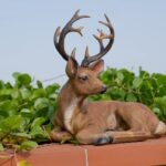 Why I Fell in Love with Deer Statues – And Why You Might Too 3 Deer Statues