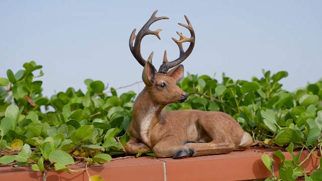 Deer Statues