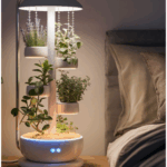 Smart Plants: How Technology Is Changing Indoor Flower Care
