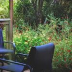 The Best Backyard Investments for Long-Term Enjoyment 3 The Best Backyard Investments for Long-Term Enjoyment