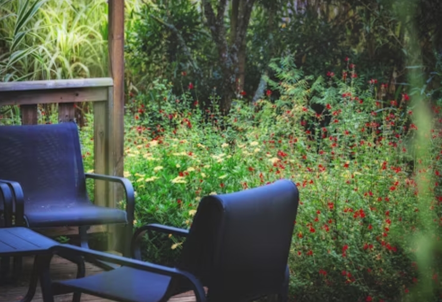 The Best Backyard Investments for Long-Term Enjoyment