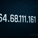 What Is 164.68111.161? Understanding This Unusual IP Format 3 164.68111.161
