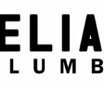 Plumber Redcliffe: Trusted Local Experts for Reliable Plumbing Solutions 3 Plumber Redcliffe: Trusted Local Experts for Reliable Plumbing Solutions