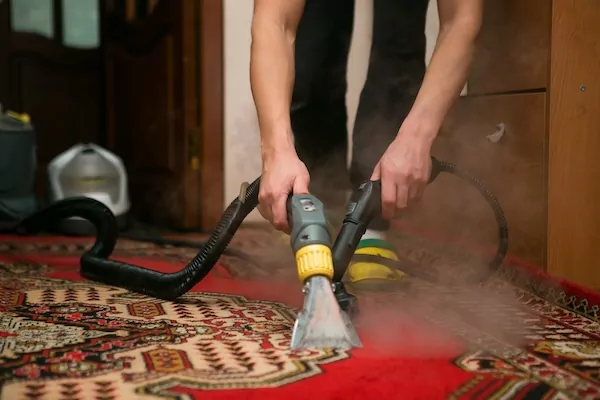 What to Expect from a Carpet Cleaning Service: Process, Duration, and Cost