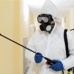 Pest Control Torrance CA: Reliable Protection for Homes and Businesses