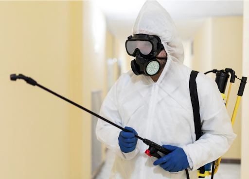 Pest Control Torrance CA: Reliable Protection for Homes and Businesses