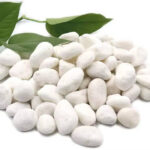 How to Choose the Best White Landscaping Rock in Bulk 3 Landscaping