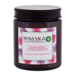 Cost-Effective Ways to Stock Wholesale Botanica Supplies 3 Wholesale