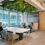 Role of Natural Light in Employee Morale: Important Aspect for a Vibrant Culture