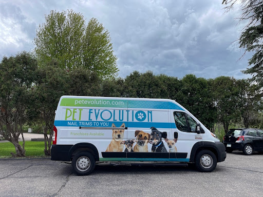 Why Pet Owners Prefer At Home Nail Groomers for Stress Free Care