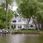 Strong Trees, Stronger Investments: Protecting Your Property Value