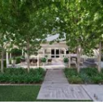 Sustainable Landscaping Trends for Modern Yards
