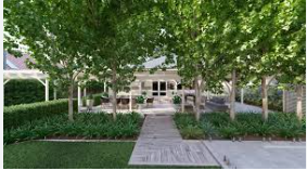 Sustainable Landscaping Trends for Modern Yards